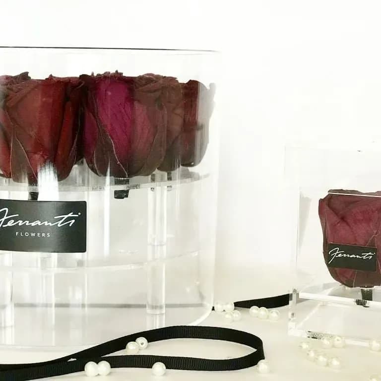 Sexy Red Wine inside transparent boxes